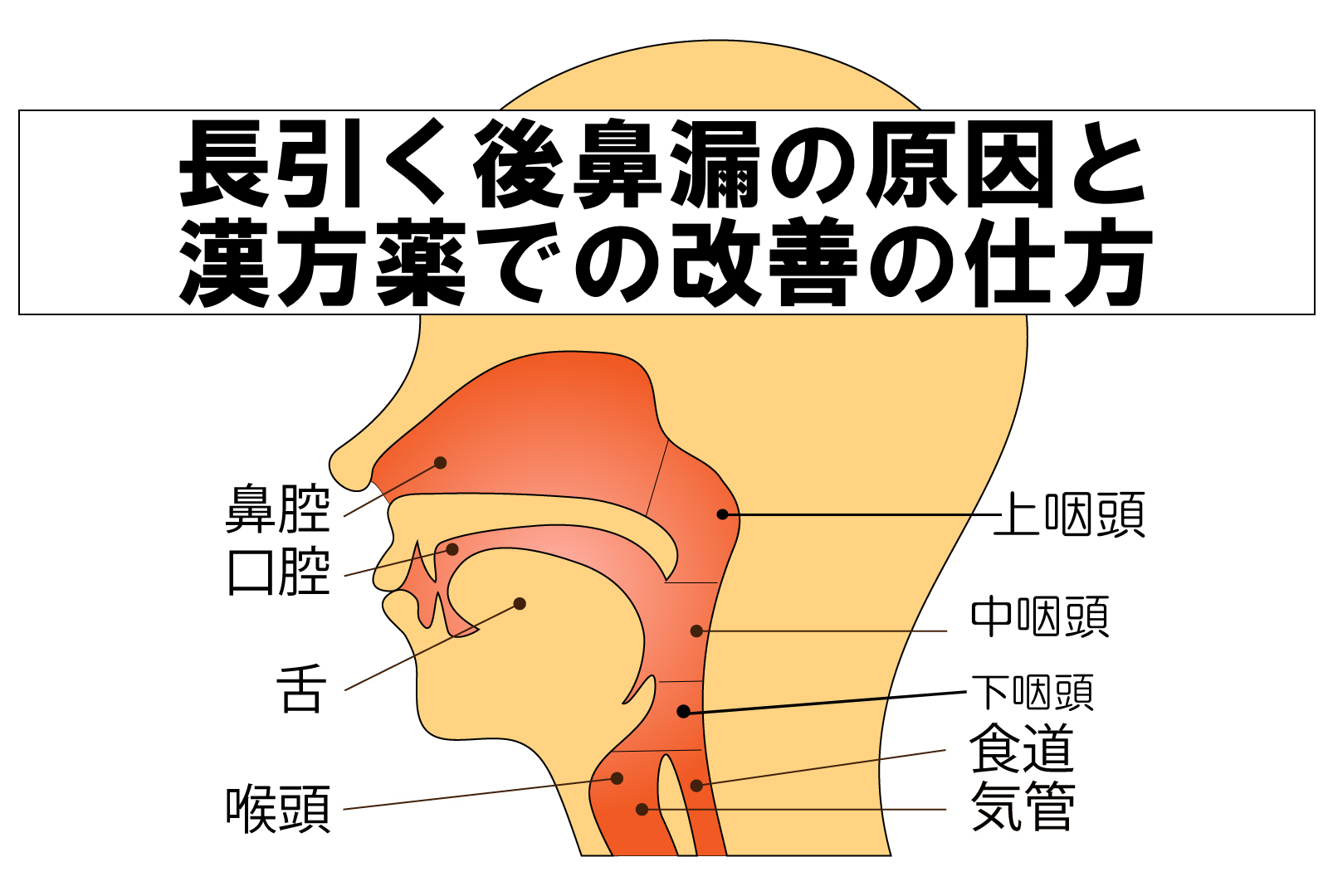 後 鼻 漏